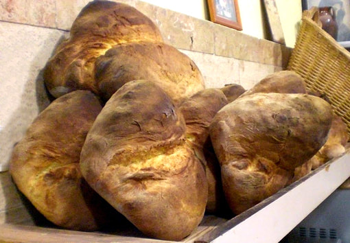 Altamura bread - food - Puglia