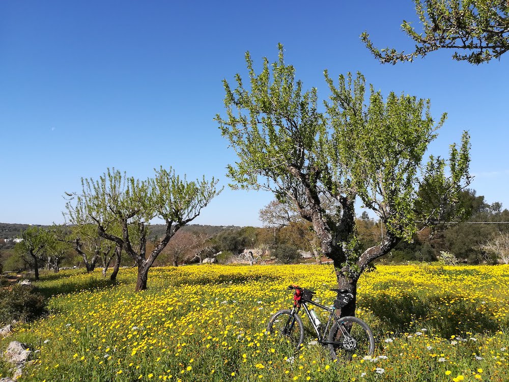 Itria Valley countryside, Spring in Apulia - cycling holidays in Italy