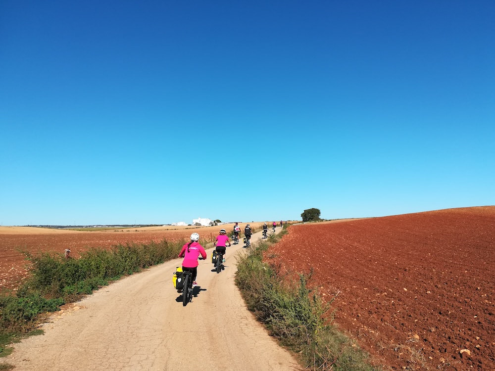 Cycling holidays in Puglia - Murgia countryside