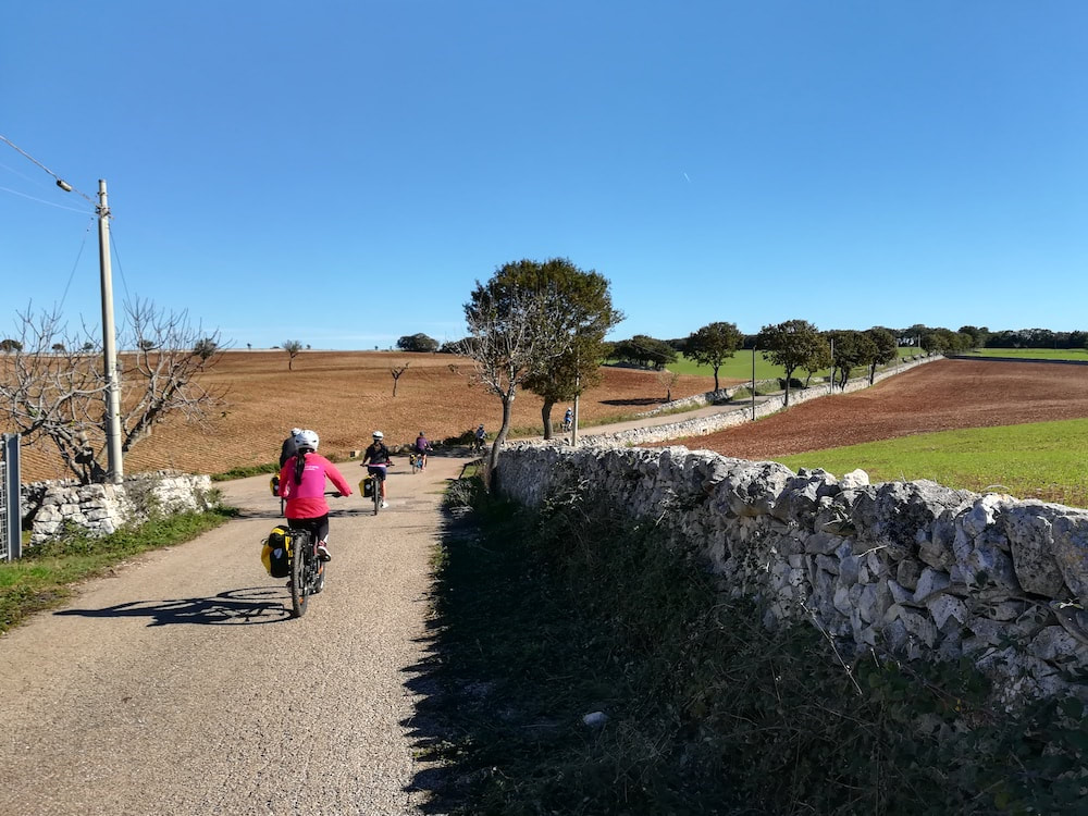 Cycling in Apulia - Apulian countryside