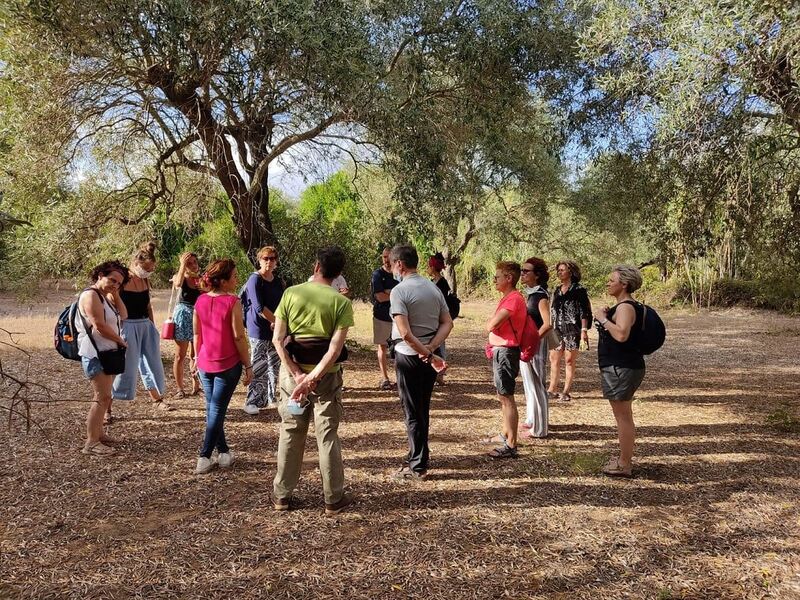 Piccolo gruppo con una guida locale in un uliveto pugliese