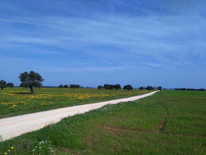 White road, Ostuni - Puglia